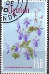 UGANDA, 1969, used 1s.50, ?Clerodendrum myricoides?.  Flowers.