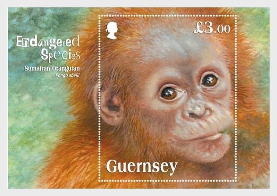 2014 Guernsey Sumatran Orangutan SS  (Scott 1240) MNH