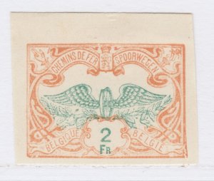 Belgium Parcel Post Railway 1902-1906 2fr Imperforated MNG Stamp A27P2F21211-