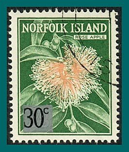 Norfolk Island 1966 Surcharge Rose Apple, used  #80,SG69