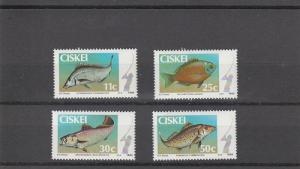 Ciskei  Scott#  69-72  MNH  (1985 Game Fish)