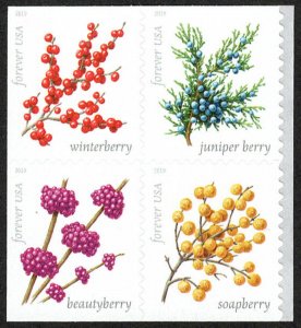 USA Sc. 5418a (55c) Winter Berries 2019 MNH bklt. block of 4