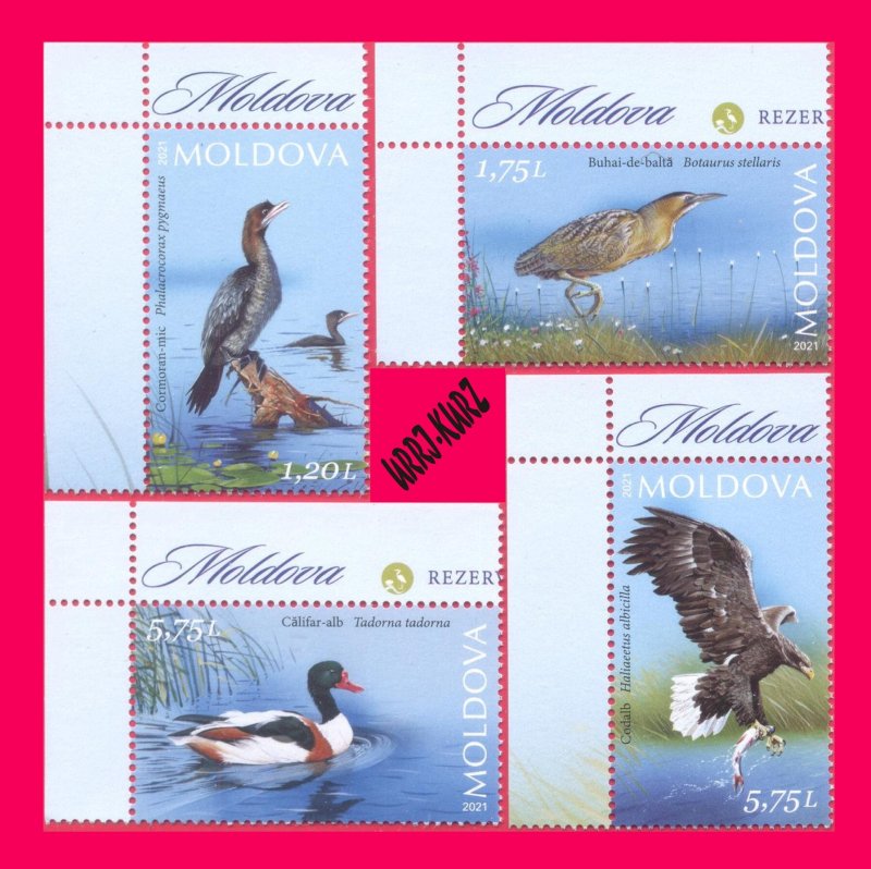 MOLDOVA 2021 Nature Fauna Birds Cormorant Bittern Duck Eagle 4v MNH