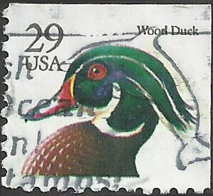 # 2484d USED WOOD DUCK    