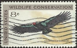 # 1430 USED CALIFORNIA CONDOR