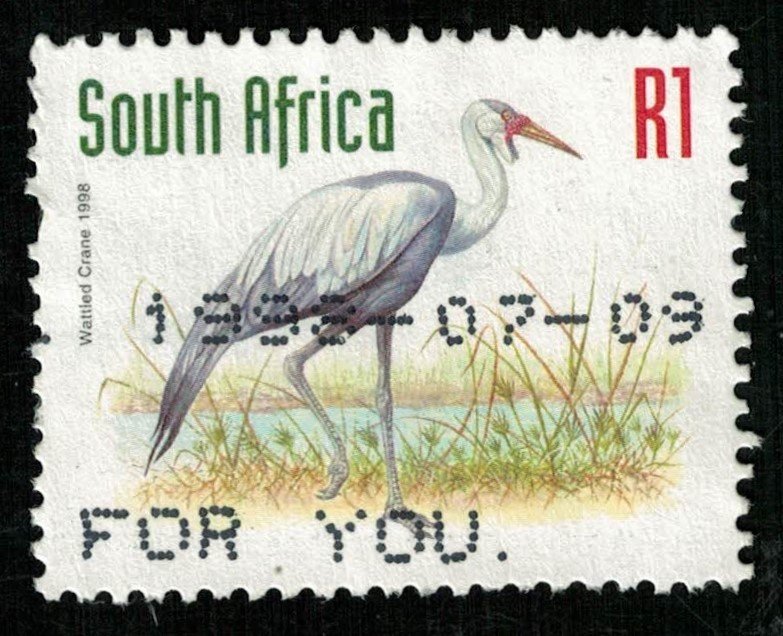 South-Africa R1 Animal (5273-Т)