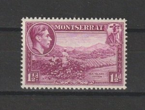 MONTSERRAT 1938/48 SG 103 MNH Cat £25