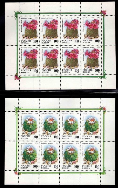 Russia Scott 6197a-6198a  Cactus Flower miniture sheet set CV$15