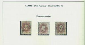 BRAZIL 1866/88  EMPIRE - Dom Pedro small specialized collection