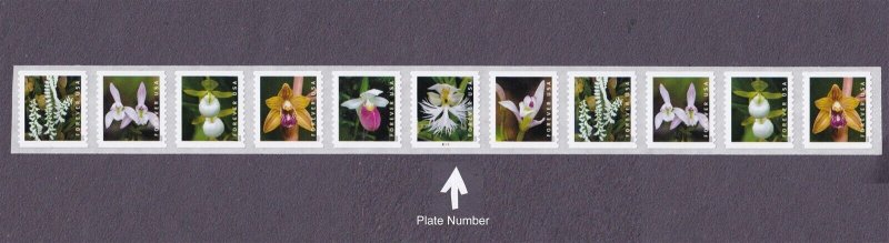 PNC11 55c Wild Orchids B1111 US 5435-5444, 5444a MNH Plate Number Middle Stamp