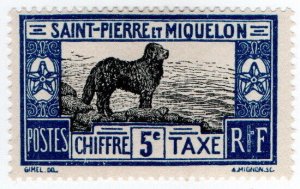 (I.B) France Colonial Postal : Postage Due 5c (Saint Pierre et Miquelon)