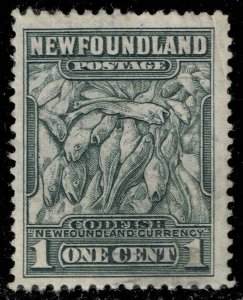 Newfoundland #253 Codfish; Used
