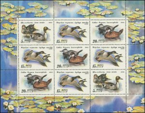 Russia 1991 Sc 6011a Birds Ducks CV $ 4.25
