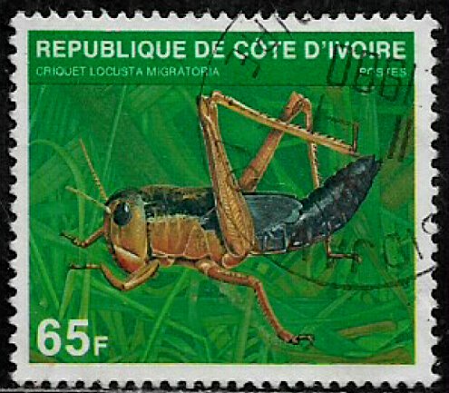 Ivory Coast #519C Used Stamp - Cricket (c)