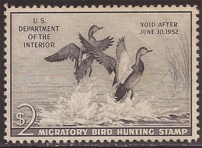 US Stamp -1951 Duck Stamp - Gadwall Ducks - MNH - Scott #RW18