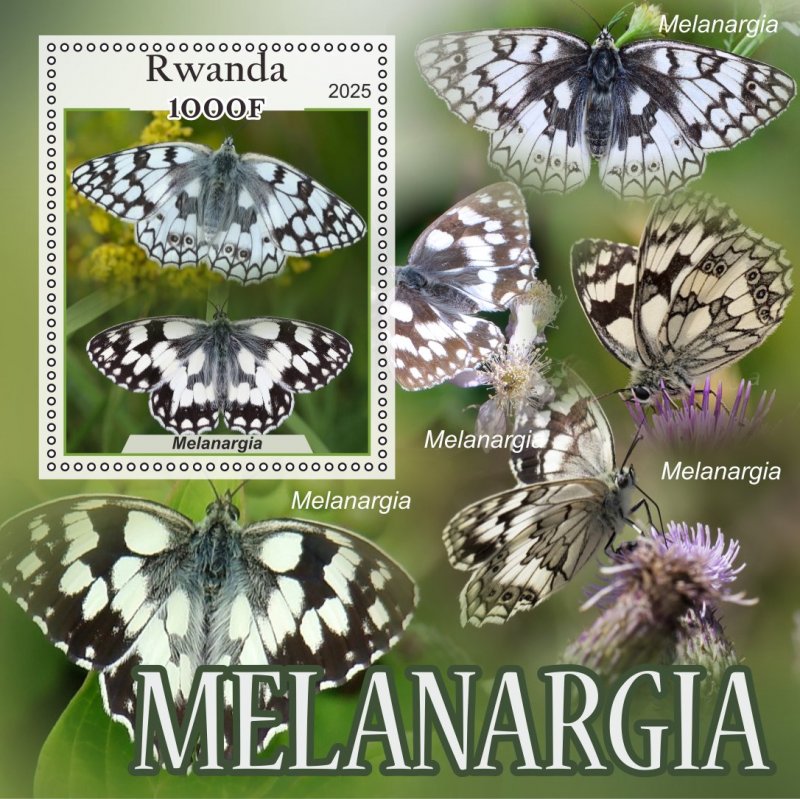 Stamps.Fauna, Butterflies  2025 year 8 sheets perforated