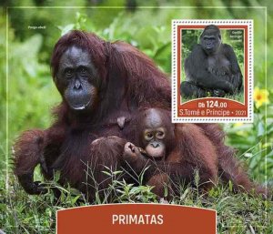 St Thomas - 2021 Primates, Gorilla - Stamp Souvenir Sheet - ST210514b