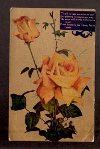 U.S. 1915 Picture Postcard!