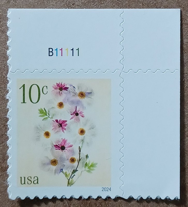United States #5901 10c Poppies & Cornflowers MNH plate #B11111 (2024)