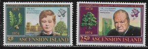 Ascension Scott #'s 181 - 182a MNH