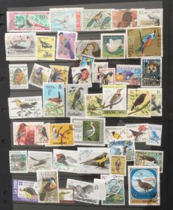 Birds - Selection of used stamps. 100+ off paper world mix (B).