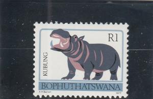 Bophuthatswana  Scott#  20  MNH  (1977 Hippopotamus)