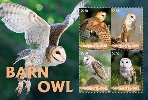 2023 09- ANTIGUA - BARN OWL        4V  complet set    MNH **