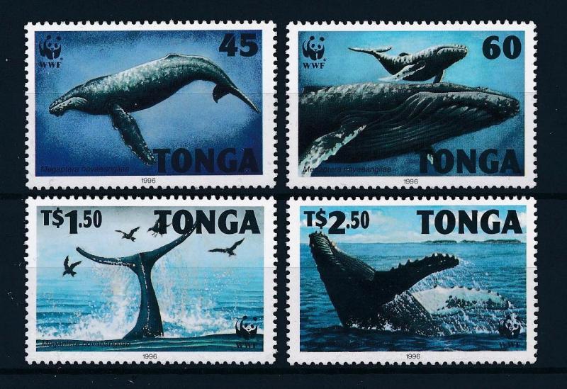 [53895] Tonga 1996 Marine life WWF Whales MNH