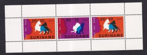Surinam  #B253a  MNH   1978  sheet  child welfare