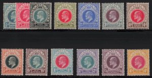 Natal Sc #81-93 (1902-3) 1/2d to 4/- King Edward VII Mint H (S.G. 127-39)