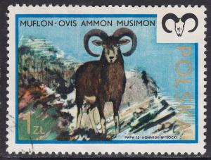 Poland 1972 Mouflon 1.00zł 1973