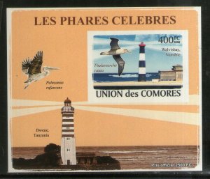 Comoro Islands 2008 Lighthouse Birds Wildlife Animals Imperf M/s MNH # 5465