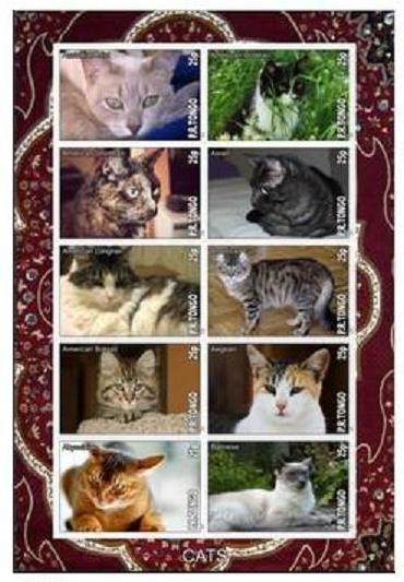 TONGO SHEET IMPERF CINDERELLA DOMESTIC CATS