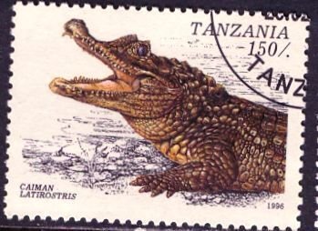 Tanzania 1996: Sc. # 1464; Used CTO Single Stamp