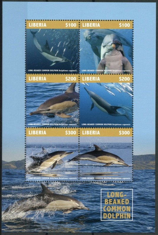 Liberia 2019 MNH Long-Beaked Dolphin 6v M/S Dolphins Marine Animals Stamps 