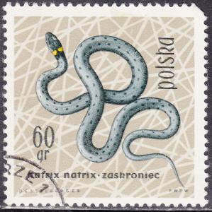 Poland 1137 Grass Snake 1963
