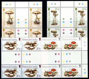 Tristan Da Cunha 1984 Sc#352/355 MUSHROOMS-FUNGI Block of 4 Gutter-Pairs MNH