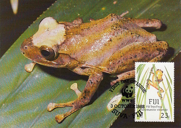 Fiji 1988 Maxicard Sc #592 23c Fiji Tree frog WWF