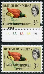 British Honduras SG218 3c with Self Government 1964 Overprint MISPLACED U/M