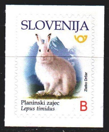 Slovenia. 2018. 1317. White hare, fauna. MNH.