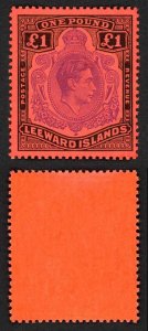 Leeward Is SG114c One Pound Perf 13 Violet and Black/Scarlet U/M Cat 30 pounds