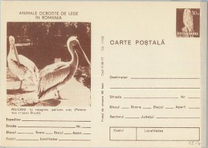 75728 - ROMANIA - POSTAL HISTORY -   STATIONERY  CARD - Birds OWL Pelican