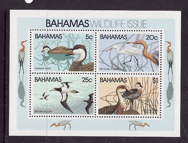 Bahamas-Sc#495a-unused NH sheet-Birds-Ducks-1981-