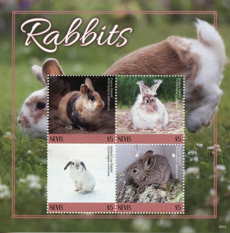 Nevis Rabbits Stamps 2019 MNH Pygmy Angora Holland Lop Rabbit Animals 4v M/S 