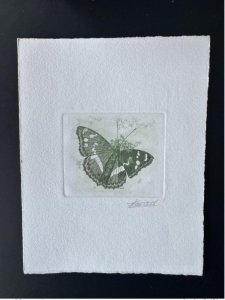 Belgium 1993 COB 2504 Artist's Proof FDC Butterfly Apatura iris Green-