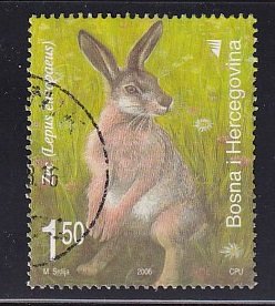 Bosnia and Herzegovina ( Bosniak )  #556  used  2006  wild animals 1.50m hare