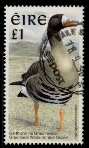 IRELAND QEII SG1060, 1997 £1 Greenland white fronted Goose, FINE USED.