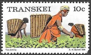 Transkei SC 14a - Picking Tea - MNH - Perf 14 - 1976