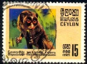 Slender Loris, Ceylon stamp SC#440 used