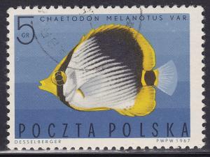 Poland 1492 Striped Butterfly Fish 1967